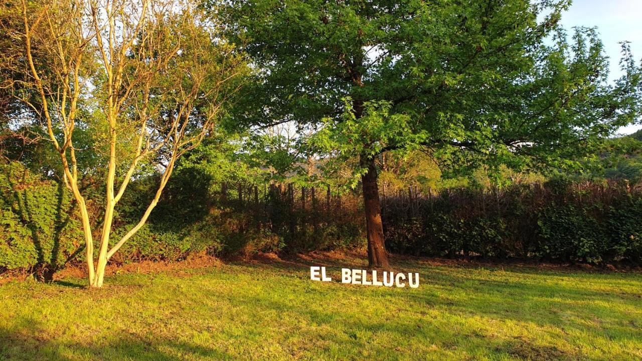 Casa Rural El Bellucu Кангас-де-Онис Экстерьер фото